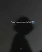 جوری زندگیم‌ میگذره‌‌‌‌‌‌‌‌‌‌‌‌‌💔😅 