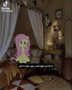 نه بابا من هیچ عادتی توی خواب ندارم..... 