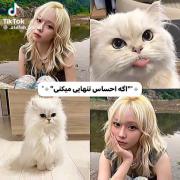 ولی هرجور حساب کنیم شیپ این دوتا خداست🫠💘