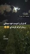 شرمنده شدم😞 پیشنهاد میکنم یه بارم شده نگاه کن! 