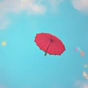 گل معطر باوقار شکوفه می دهد....