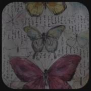 ولی پروانه ها زیادی قشنگن نه؟>>>