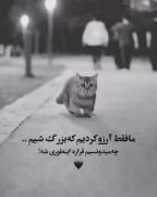 آرزویمان پوچ و پوچ بود. . 