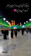 آقای امام حسین ، خیلی نوکرتیم :)🌱