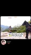وقتی اسب از حرکات رزمی کیدراما می‌ترسد! 😂🐎