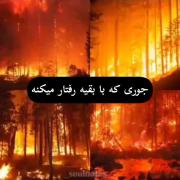 تفاوت رفتار عاشقانه او با من و دیگران