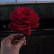 توصیف زیبایی اون آدم تو زندگی من