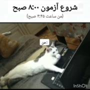 ............حال و روز خیلیاس............