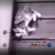 هیـــــــــــــــــــــــــــ🥀🥀🖤💔