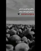 و ماهم روزی این گونه ز یاد رفتیم ):