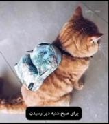 محض اطلاعتون30روز دیگه مدرسه ها شروع میشن😂🌝