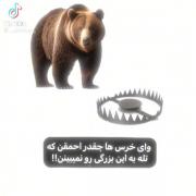[ما احمق تریم🤌🏻✨] . 