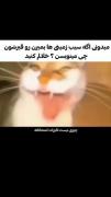 شما هم امتحان ها روتون تاثیری داشته؟ 😂