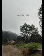 طبیعت و محبت بی دریغ