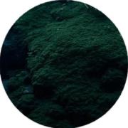 نیازمند همچین جایی...`💞👩‍🦯💔