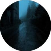 آرامش در آغوش طبیعت بارانی و مه‌آلود