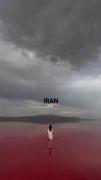 اشکالی نداره ایرانم به زودی خوب میشی🫠❤️‍🩹