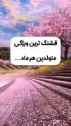 قشنگ ترین ویژگی تون🎀🎀🎀🎀🎀🎀