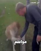 موافقی؟موافقم😄..................