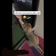 وقتی به من میگن عیدو به همت تبریک بگو