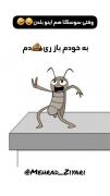 تو رو باز دیدم سوسکی عجبا اینام یاد گرفتن