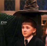 گروه های هاگوارتس شما کدام هستید ؟🌈❤️