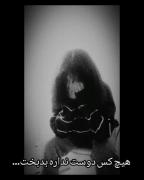 تنهام،،،،،،،،،،،،،،،،،،،،،،،،،،،،،