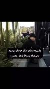 حق ترین کلیپی که امروز میبینی😂