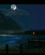 🖤‌‌‌‌‌‌‌‌‌‌‌‌‌‌‌‌‌‌‌‌‌‌‌‌‌‌‌‌‌‌‌