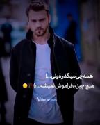 ...............................