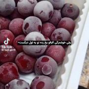 ‌‌‌‌‌‌‌‌‌‌‌‌‌‌‌‌‌‌‌‌‌‌‌‌‌‌‌‌‌‌‌‌