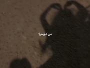 موزیک ویدیو عاشقانه - لحظات زیبای یک زوج جوان