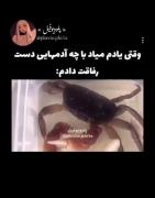 یادآوری نامردی‌ها: خرچنگ نماد رفاقت‌های تلخ