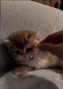 اخه چقد ناناص میتونن باشن؟....