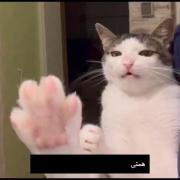 منی ک رفته رفته صدارو کم میکردممممم😔😂