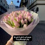 کافیه زمانشو بهم بگی>>>>>>>>>>>>>>>>>>>.