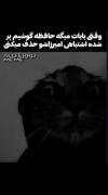 میم گربه خنده دار: وقتی فایل های باباتو پاک میکنی