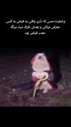 سگ بامزه: لحظات خنده‌دار یک حیوان خانگی