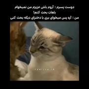 میم خنده‌دار: وقتی دوست پسرت می‌خواد بحث نکنه اما تو کم نمیاری!