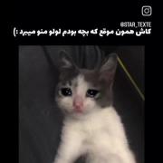  . ای کااااش😔🎀