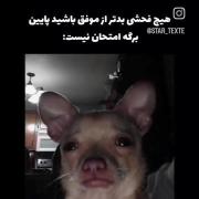 بخدا انگار فحش ناموسی میدن به ادم