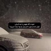 حتی خودتم اگر بفهمی پشمات میریزه