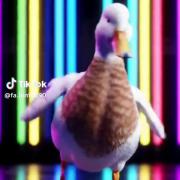  . چیکن بنانا😔😂