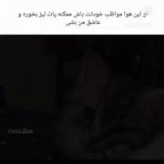 ممکنه یهو پات لیز بخوره و عاشق من بشی🤣💔