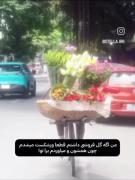 میدونی رزکوچولو من اگه گل فروشی داشتم...