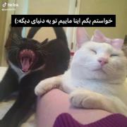 ................................