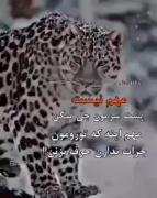 مهم نیست که :(