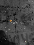 #ظاهر_خندان_ما_افسانه_شد_ولی🌚* #چهری_غمگین_ما_را_کسی_ندید 🥀💔*