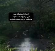 حرفی برای گفتن نیست...........