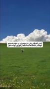 مهرَبون‌بودَن‌دِل‌[بزرگ‌]میخواد، ‏مهرَبونی‌رو‌فَهمیدَن‌[لیاقَت] 
